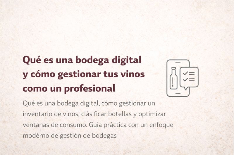 Qué es una bodega digital y cómo organizar tus vinos como un experto